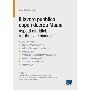 Il lavoro pubblico dopo i decreti Madia. Aspetti giuridici, retributivi e sindacali
