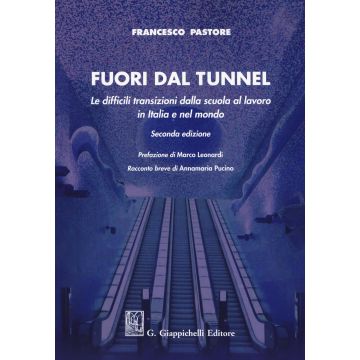 Fuori dal tunnel. Le difficili transizioni dalla scuola al lavoro in Italia e nel mondo