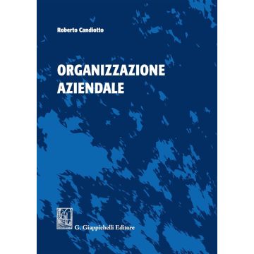 Organizzazione aziendale. Ediz. illustrata