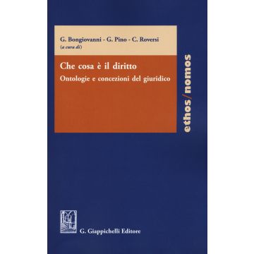 Che cosa è il diritto. Ontologie e concezioni del giuridico