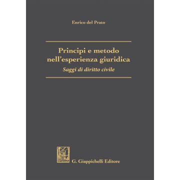 Principi e metodo nell'esperienza giuridica. Saggi di diritto civile
