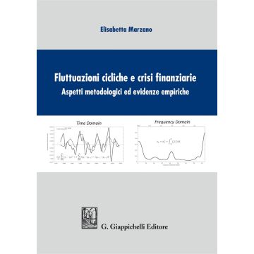 Fluttuazioni cicliche e crisi finanziare. Aspetti metodologici ed evidenze empiriche