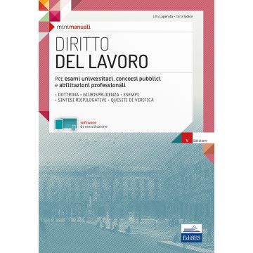Diritto del lavoro. Teoria e test per la preparazione all'esame