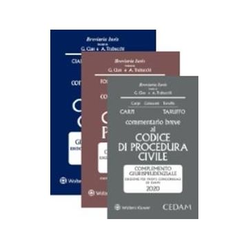 Esame Avvocato 2020 - KIT: 3 Commentari CEDAM (Civile + Procedura Civile + Penale) + Addende di aggiornamento + OMAGGIO: PraticaMente Avvocatura, Servizio online con tracce svolte di Pareri e Atti di civile, penale e amministrativo