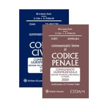 ESAME AVVOCATO 2020 - KIT 2 Commentari CEDAM (Civile + Penale) + Addende di aggiornamento + OMAGGIO: PraticaMente Avvocatura: Servizio online con tracce svolte di Pareri e Atti di civile, penale e amministrativo